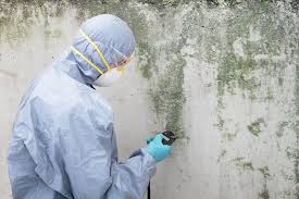 Best Real Estate Mold Inspection  in Glen Ellen, CA